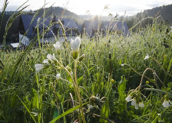 Hotel Hotel Annin 4*